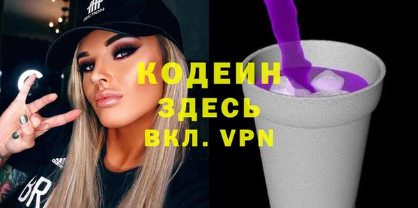 индика Россошь