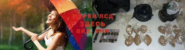 стаф Ростов