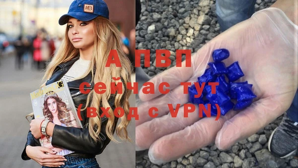 a pvp Рославль