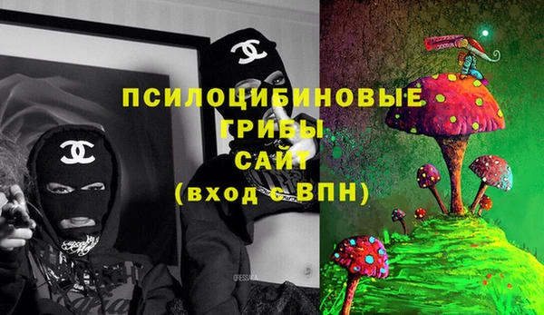 стаф Ростов